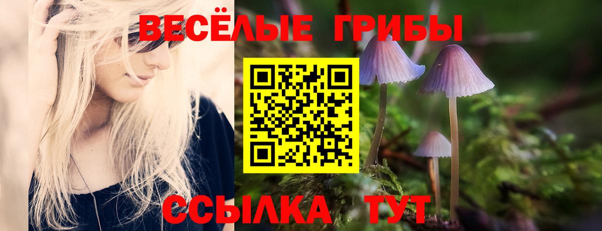 Куйбышев  Псилоцибиновые грибы GOLDEN TEACHER  Вход с VPN 